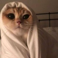 maryshkamary
