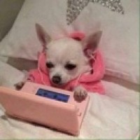 user32547784