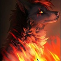 user42207709