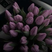 author8562974