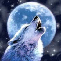 annwolf163