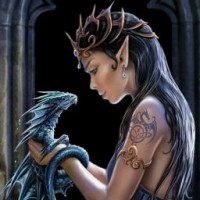 user91416013