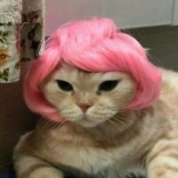 aquamariia