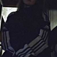 vincemur