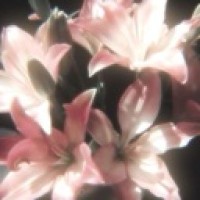 user71177347