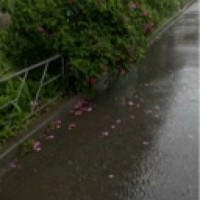 user70336