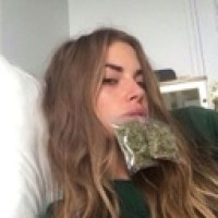 violleta-i