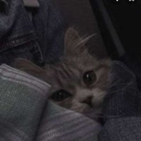 user13302023