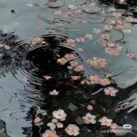 rain-2378