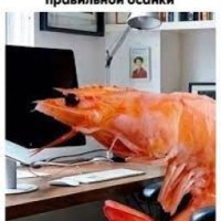 rurilark-851216