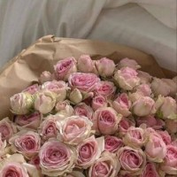 alyabear35