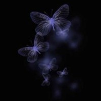 user17006310