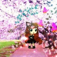 user522131499559