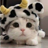 funny-way1