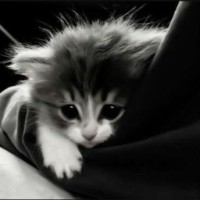 user04331061