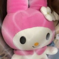 user80627456