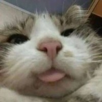 valerik02