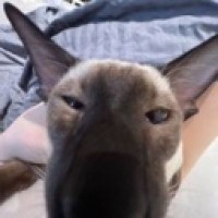 user78790938