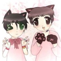 lolpime228