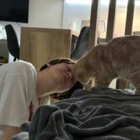 kimcsan