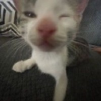user14406045