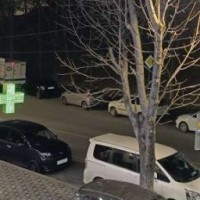 mvalika