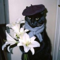 just-liliia
