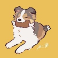 vinklarywhy