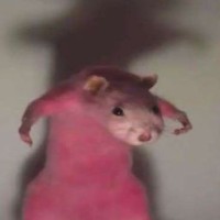 i-am-milk
