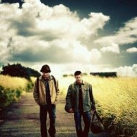 winchestera
