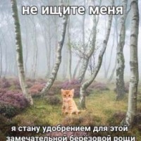 illars-s