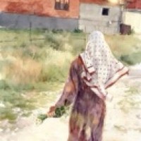 alv-naima