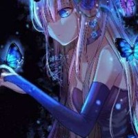 alisa2145