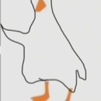 dick-or-duck