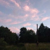 user09420508