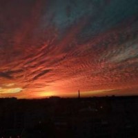 kseniaefremova19