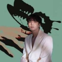 selidar-kpop