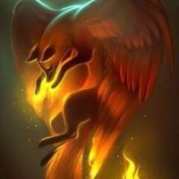 user41173605