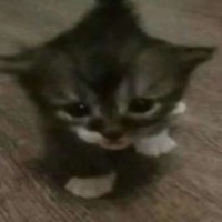 wogluu
