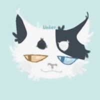 kocya-cat