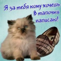 cat-vi72