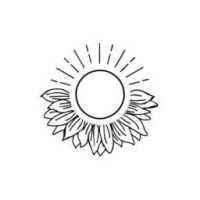 raven-light820