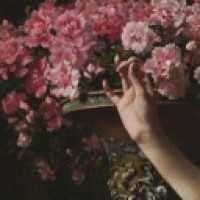 dariaflorence