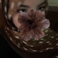 dalia-miller