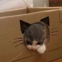 nyangirl1111
