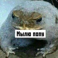 kvafanfff