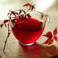 tea-karkade