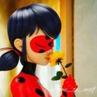 ladyvikamiraculous