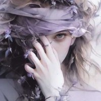 sasha-242