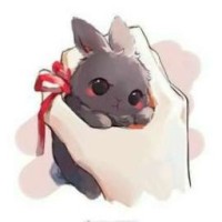 lapin21022007